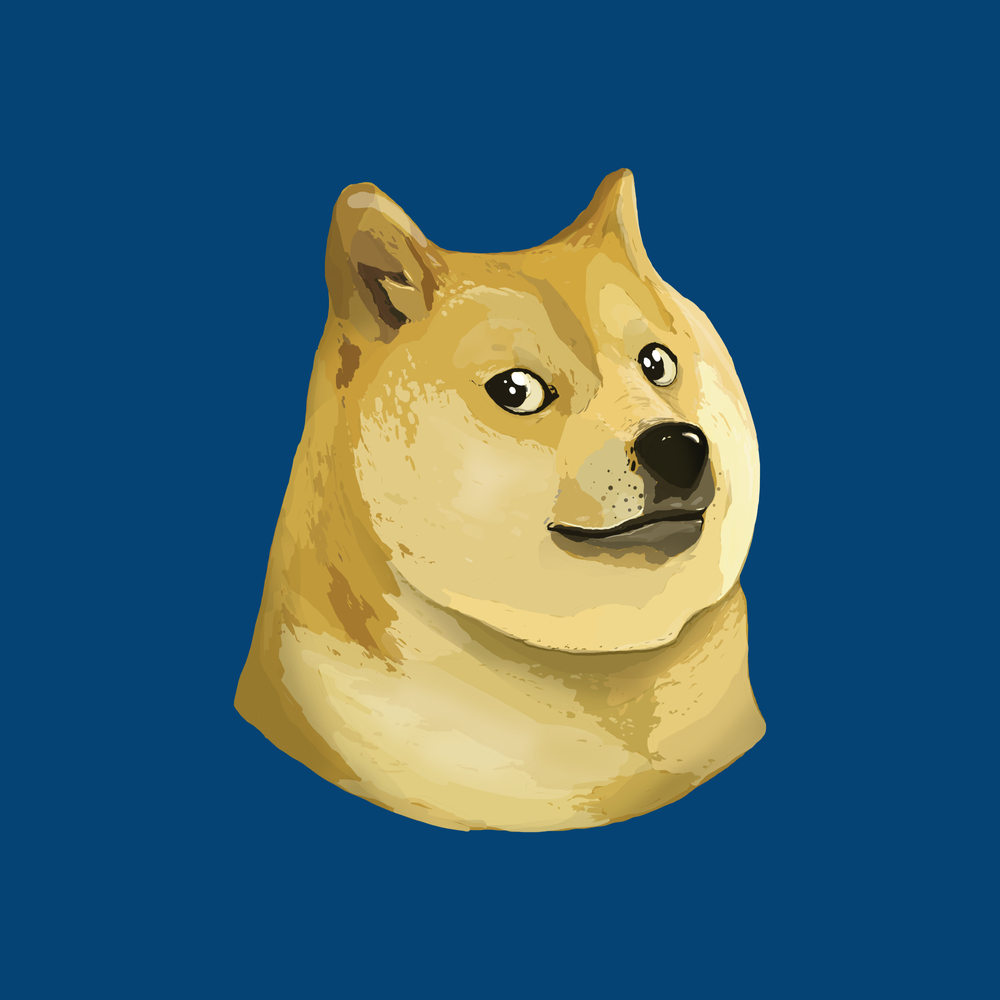 Best Pet Insurance Advice on Reddit